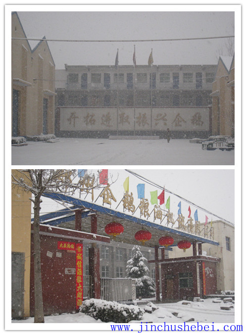 浸出油設備，預榨浸出生產(chǎn)線，榨油設備，精煉設備