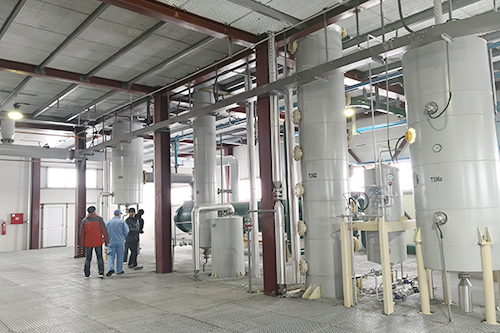 年關(guān)將至，鄭州企鵝喜迎埃塞俄比亞客戶(hù)！